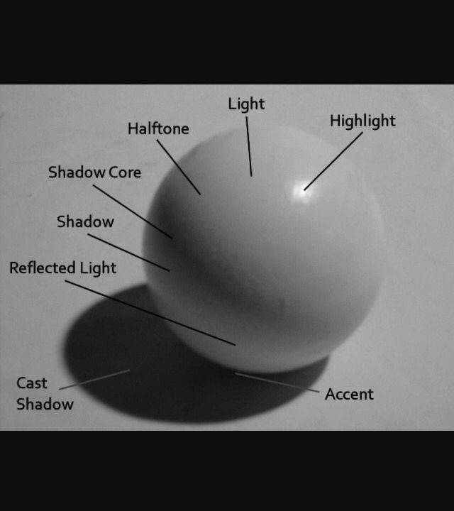 Drawing Tips find your core shadows first